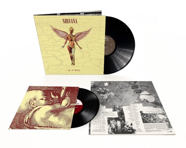 NIRVANA - Imagen 2